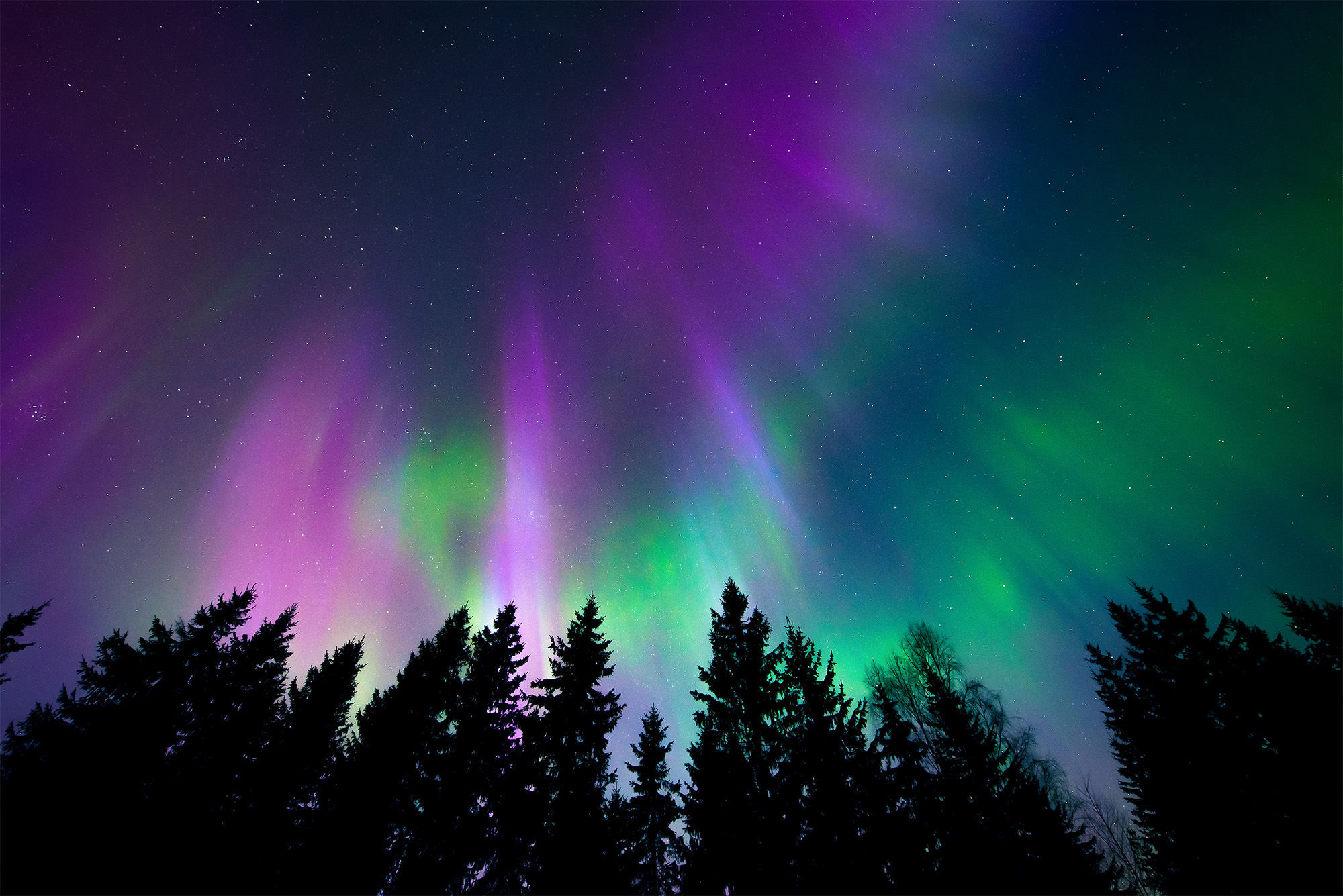 Northern Lights 2025 Ottawa, Ontario Northern Lights 2025 Arctic